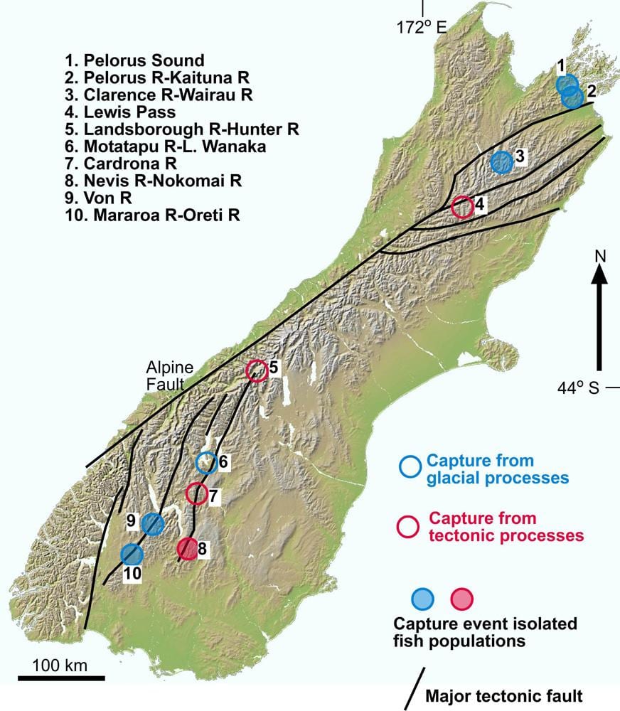Mapa do desfiladeiro do rio nova zelândia